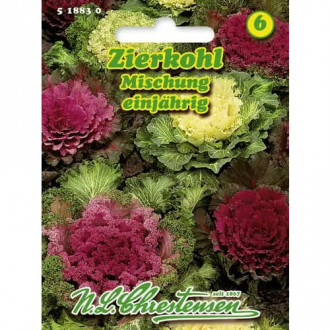Kapusta ozdobna, mix kolorow interface.image 1