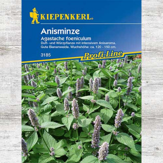 Kłosowiec anyżowy (Agastache) interface.image 1
