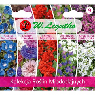 Kolekcja Roślin Miododajnych, 5 odmian interface.image 1