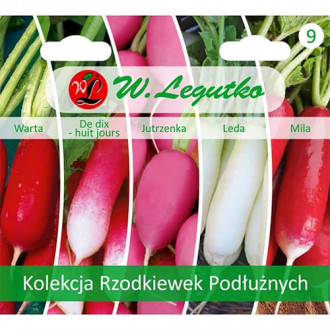 Kolekcja Rzodkiewek Podłużnych, 5 odmian interface.image 3