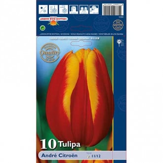 Tulipan Andre Citroen interface.image 4