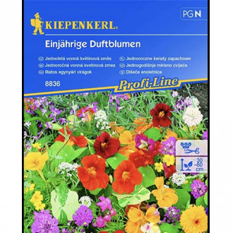 Mieszanka ozdobna Scented Flowers, mix kolorow