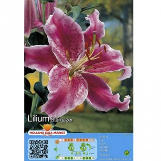 Lilia Stargazer interface.image 1