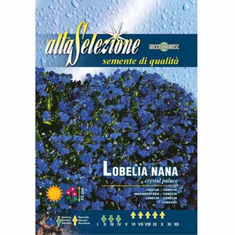 Lobelia przylądkowa Crystal Palace Morami interface.image 3