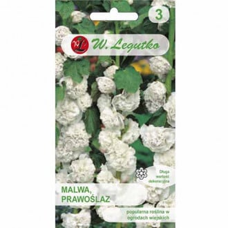Malwa pełna (Prawoślaz) biała Legutko