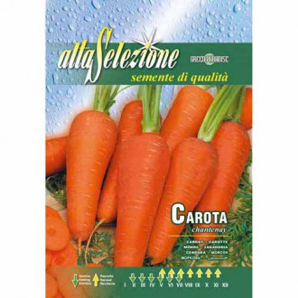 Marchew Chantenay Morami interface.image 17