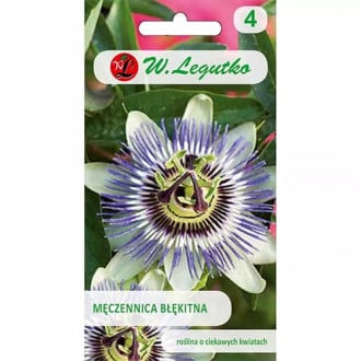 Passiflora niebieska interface.image 4