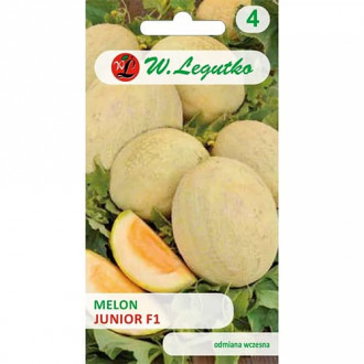 Melon Junior F1 interface.image 2