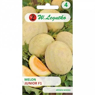 Melon Junior F1 interface.image 5