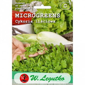 Microgreens Cykoria liściowa interface.image 1