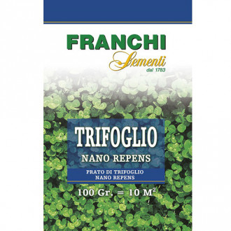 Mikrokoniczyna na trawnik Nano, mieszanka Morami interface.image 13