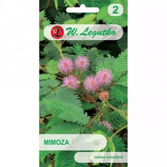 Mimoza interface.image 1