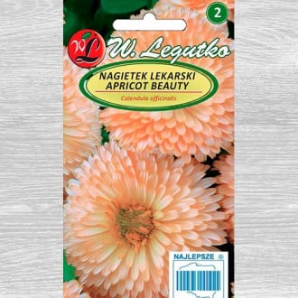 Nagietek lekarski Apricot Beauty Legutko interface.image 3
