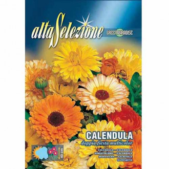 Nagietek lekarski półpełny, mieszanka kolorów Morami interface.image 3