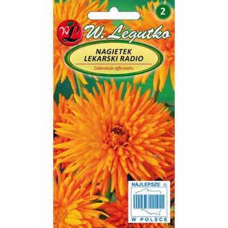 Nagietek lekarski Radio Legutko