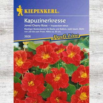 Nasturcja mniejsza Jewel Cherry Rose interface.image 1