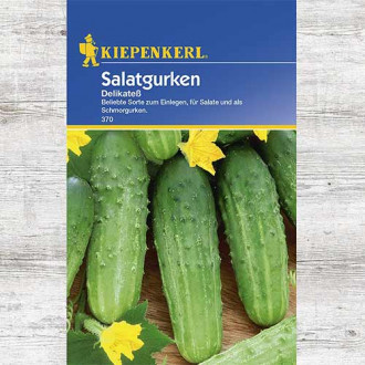 Ogórek gruntowy Delikatess, nasiona zdjęcie 16 Ogórek gruntowy Delikatess, nasiona interface.image 16