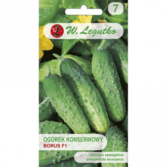 Ogórek gruntowy do kwaszenia Borus F1 zdjęcie 16 Ogórek gruntowy do kwaszenia Borus F1 interface.image 16