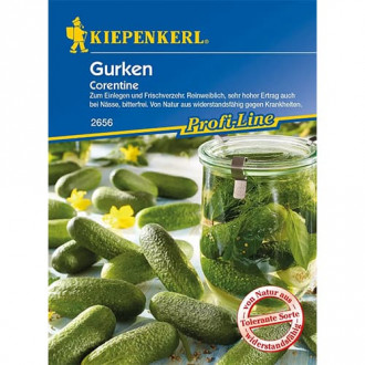 Ogorek Corentine interface.image 1