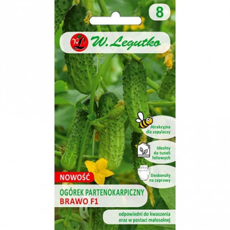 Ogórek gruntowy konserwowy pod osłony Brawo F1 interface.image 11