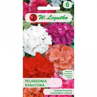 Pelargonia (Geranium) rabatowa F2, mix kolorow interface.image 5