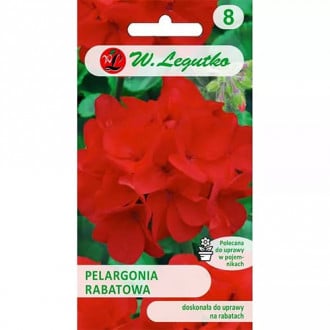 Pelargonia (Geranium) rabatowa Gama czerwona F1 interface.image 3