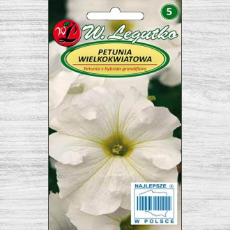 Petunia ogrodowa wielkokwiatowa biała Legutko interface.image 2