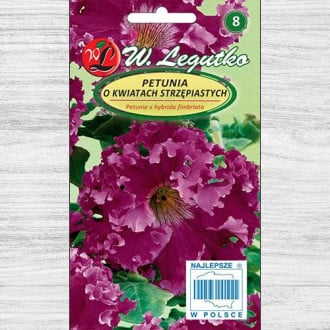 Petunia ogrodowa zwisająca postrzępiona amarantowofioletowa Legutko interface.image 10
