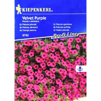 Petunia Fortunia Purple Velvet interface.image 2