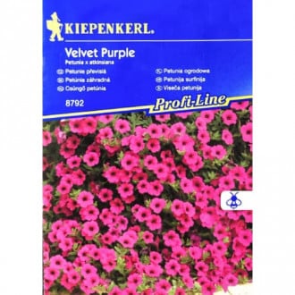 Petunia Fortunia Purple Velvet interface.image 1