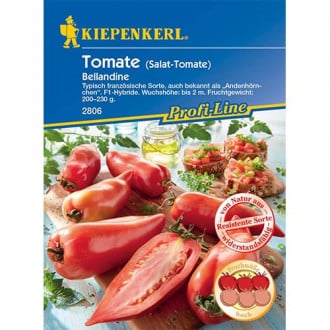 Pomidor Bellandine interface.image 1