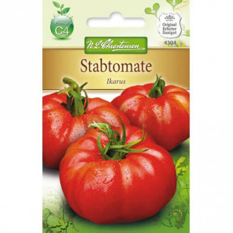 Pomidor Ikarus interface.image 2
