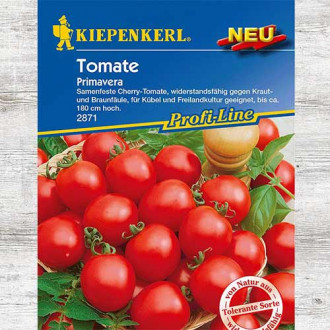 Pomidor koktajlowy Primavera interface.image 4