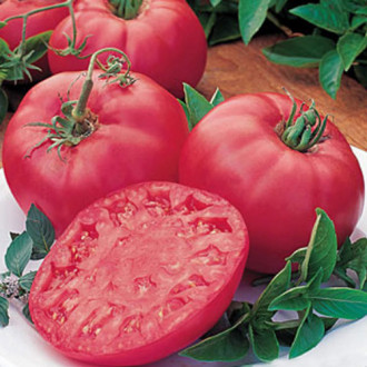 Pomidor  Malinowy Olbrzym interface.image 1