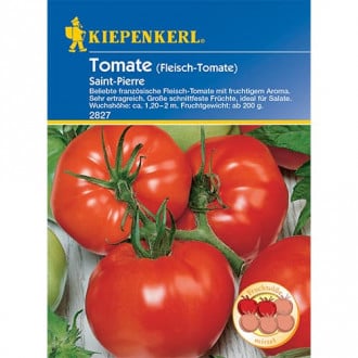 Pomidor Saint-Pierre interface.image 6