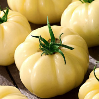 Pomidor White Beauty  interface.image 3