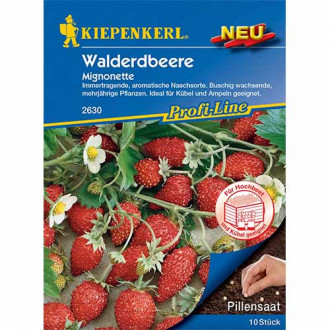 Poziomka Mignonette Kiepenkerl