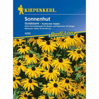 Rudbekia owłosiona Goldsturm Kiepenkerl interface.image 5