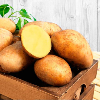 Sadzeniaki ziemniaków Erika interface.image 2