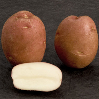 Sadzeniaki ziemniaków Esmee interface.image 2