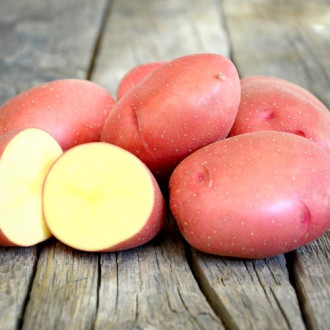 Sadzeniaki ziemniaków Rosagold interface.image 1