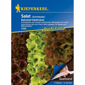 Salata debolistna nasiona na tasmie Babyleaf, mix odmian interface.image 2
