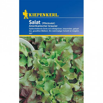 Salata debolistna Amerikanischer brauner zdjęcie 9 Salata debolistna Amerikanischer brauner interface.image 9