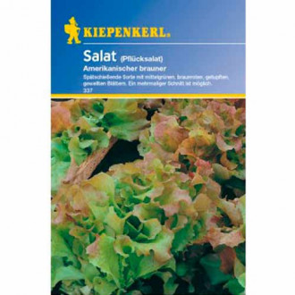 Sałata dębolistna Frisée d'Amérique Kiepenkerl interface.image 5