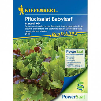 Sałata dębolistna Maraldi, mix interface.image 4