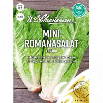 Salata rzymska mini Xanadu interface.image 5