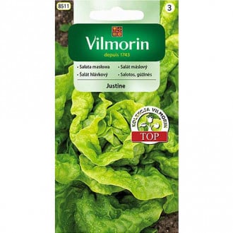 Seler liściowy Jemny Vilmorin interface.image 4