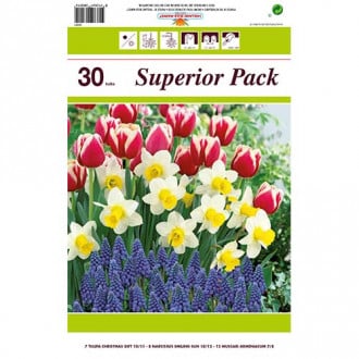 Super oferta! Tulipan Christmas Gift, Narcyz Smiling Sun, Szafirek armeński, zestaw 30 cebul interface.image 6