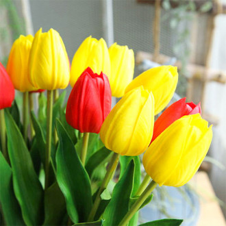 Super oferta! Tulipan Darwina, zestaw 25 cebul interface.image 6