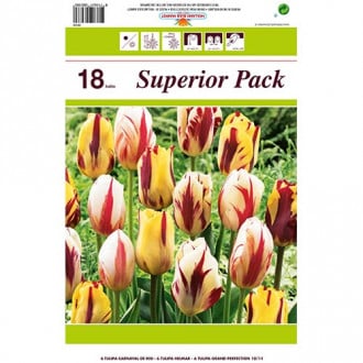 Super oferta! Tulipan Grace, zestaw 18 cebul interface.image 1